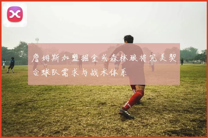詹姆斯加盟掘金或森林狼将完美契合球队需求与战术体系